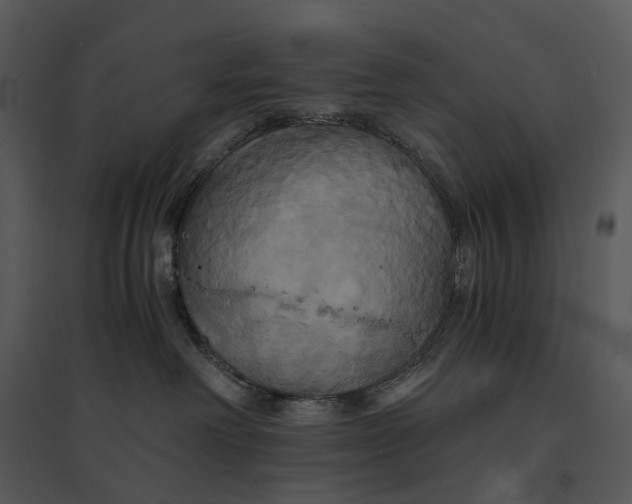 X0000095520238200801041230