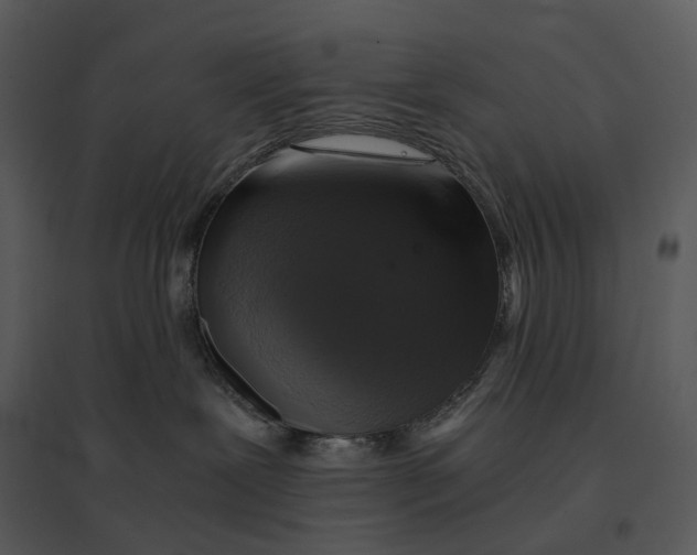 X0000095520239200801041230