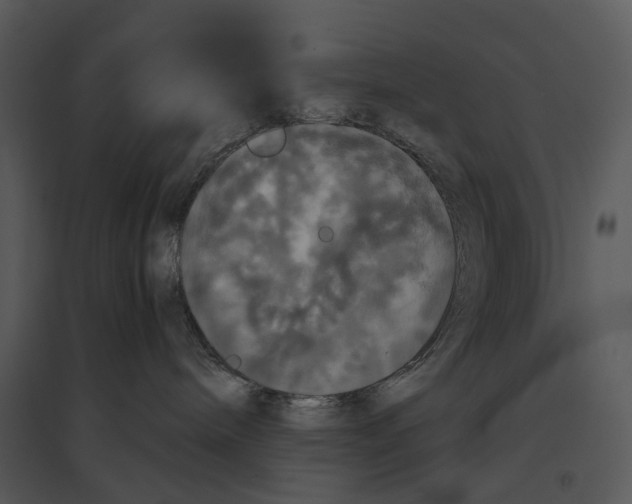 X0000095520240200801041230