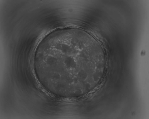 X0000095520241200801041229