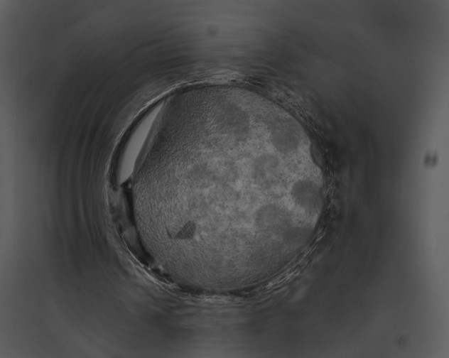 X0000095520242200801041229