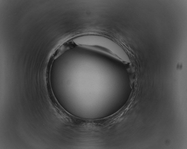 X0000095520244200801041229