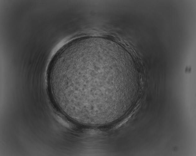 X0000095520246200801041229