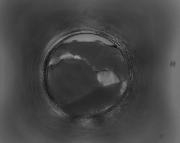 X0000095520247200801041229