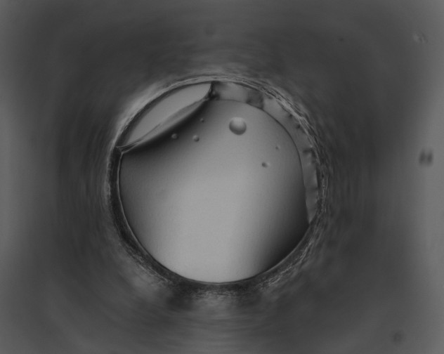 X0000095520248200801041229