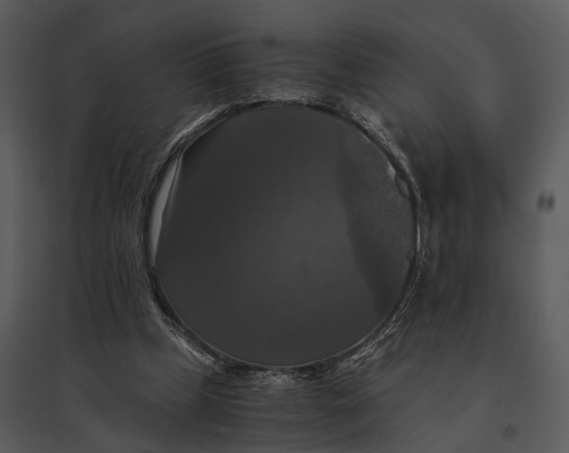 X0000095520249200801041229