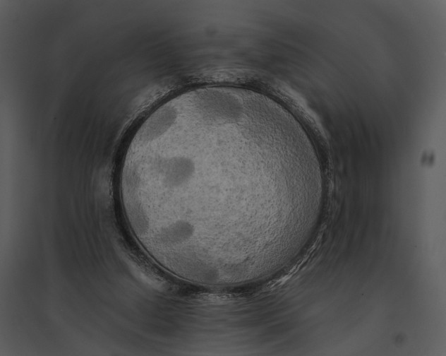 X0000095520250200801041229