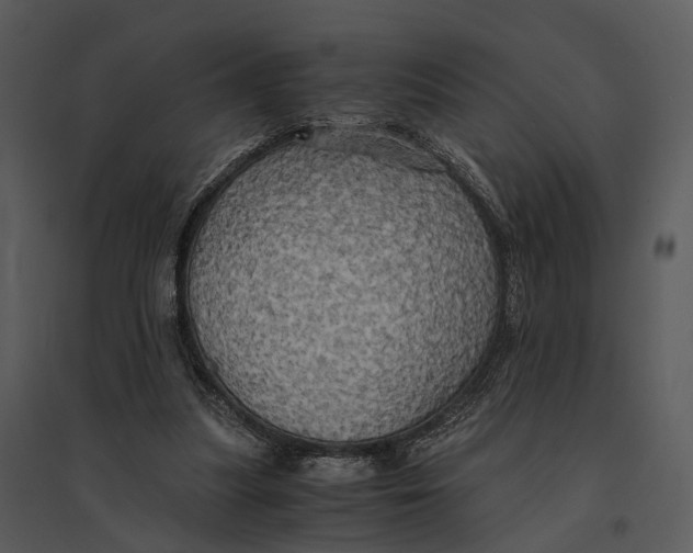 X0000095520251200801041229