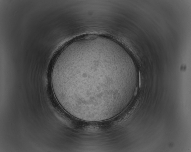 X0000095520252200801041229