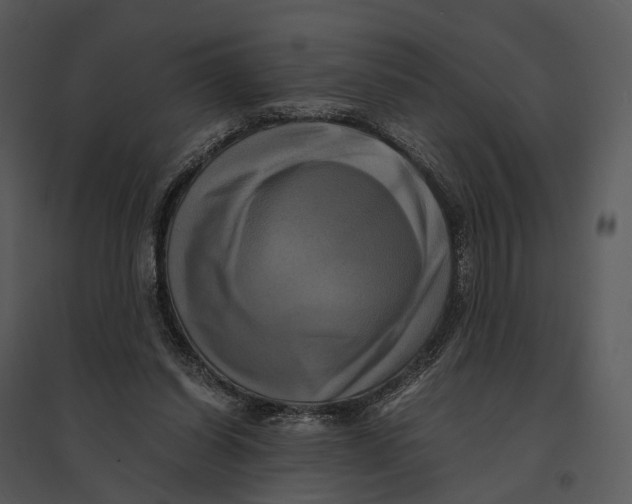 X0000095520254200801041229