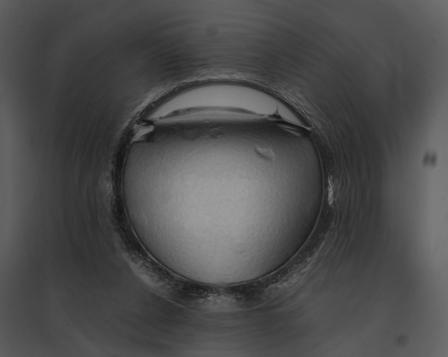 X0000095520256200801041229