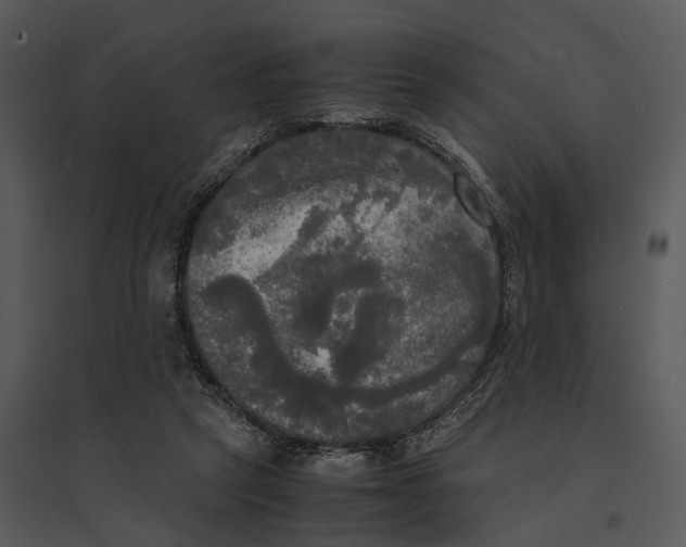 X0000095520257200801041229