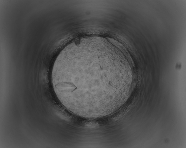 X0000095520258200801041229