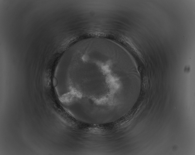 X0000095520259200801041229