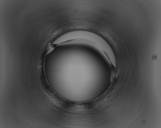 X0000095520260200801041229