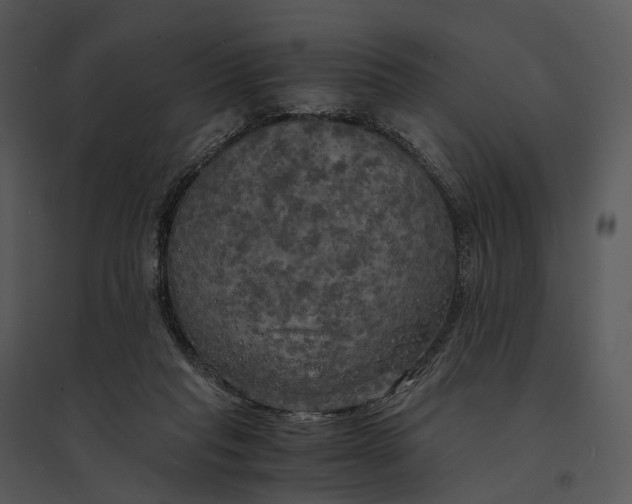 X0000095520261200801041229