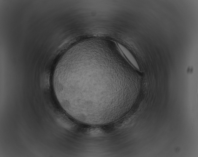 X0000095520262200801041229