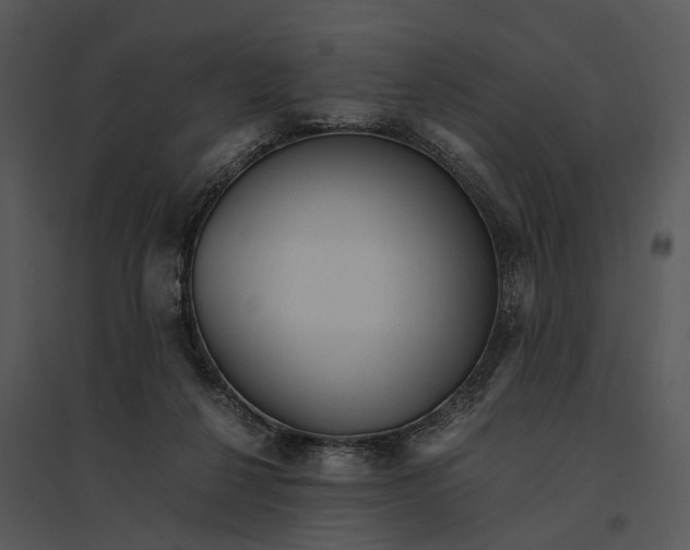 X0000095520264200801041229