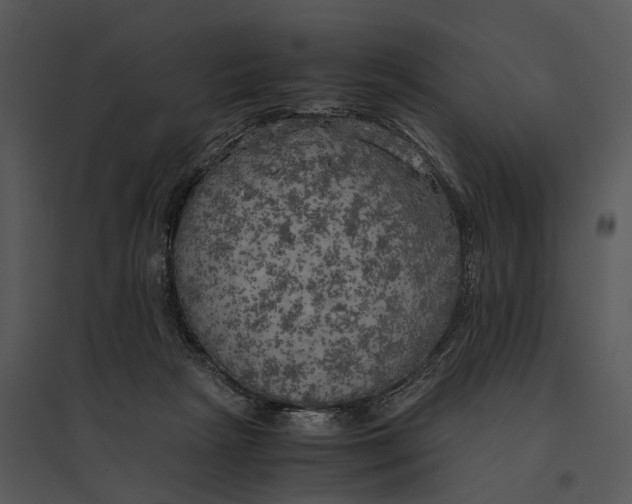 X0000095520265200801041229