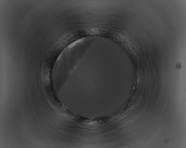 X0000095520267200801041229