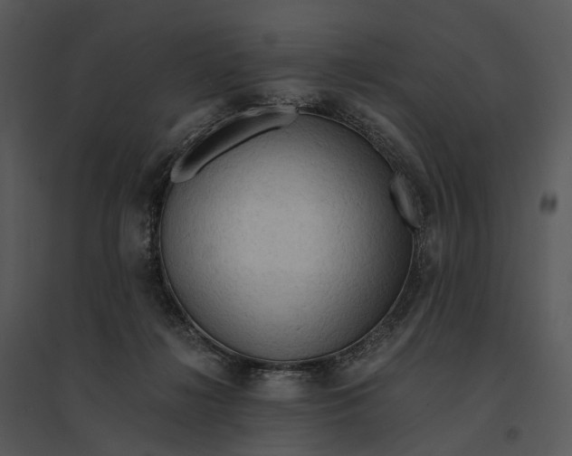 X0000095520268200801041230