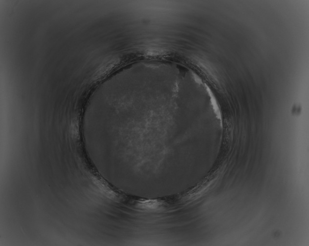 X0000095520269200801041230