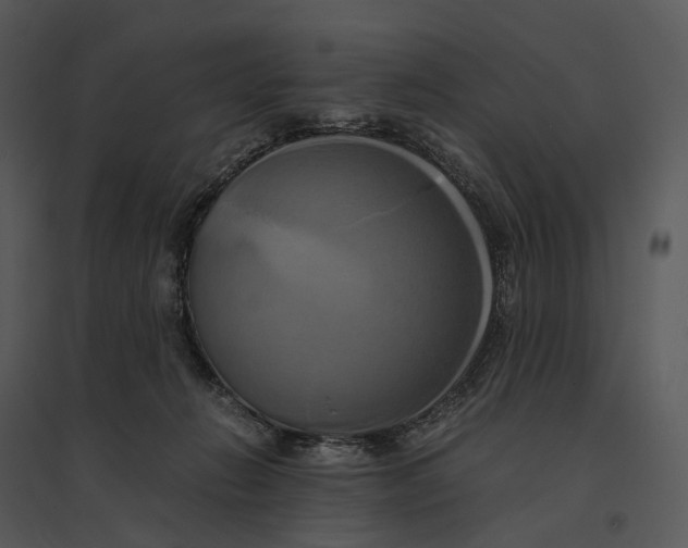 X0000095520270200801041230