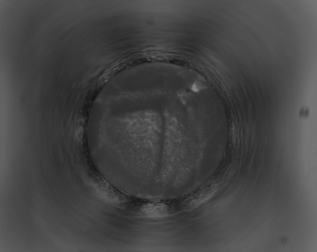 X0000095520271200801041230