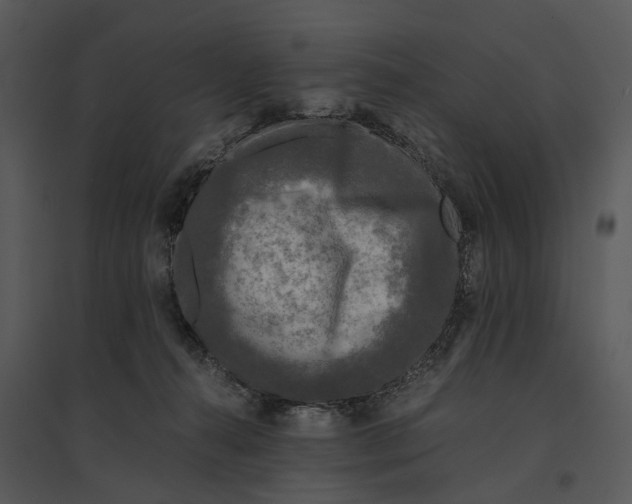 X0000095520272200801041230