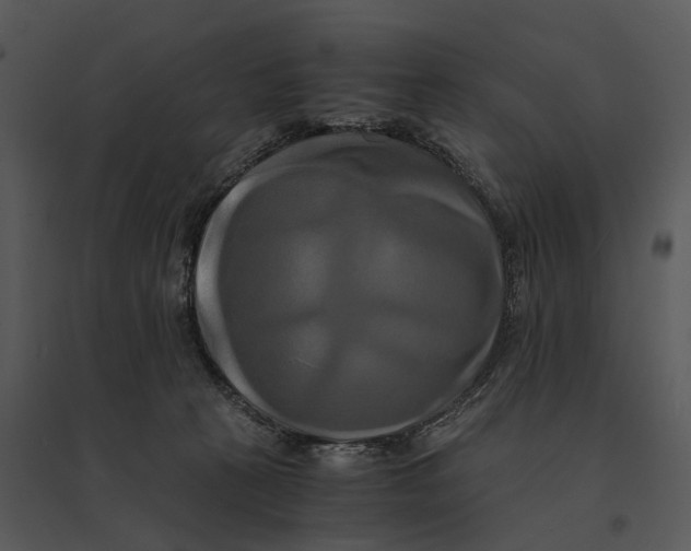 X0000095520273200801041230