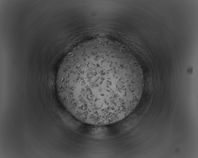 X0000095520274200801041230