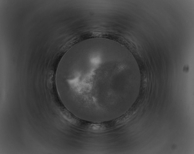 X0000095520275200801041230