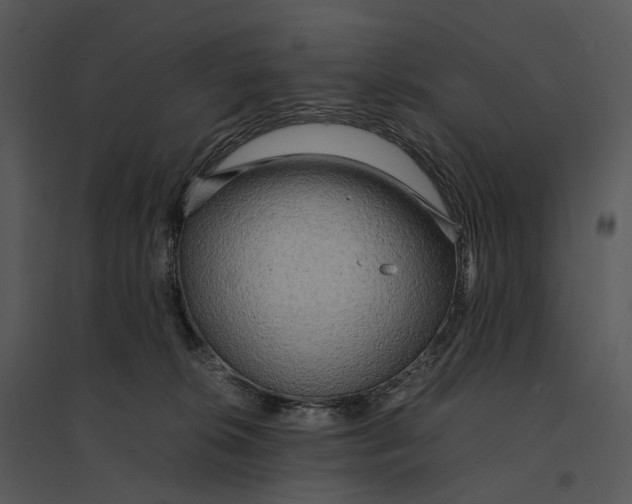 X0000095520276200801041230