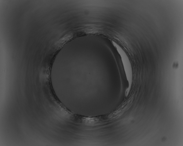 X0000095520277200801041230