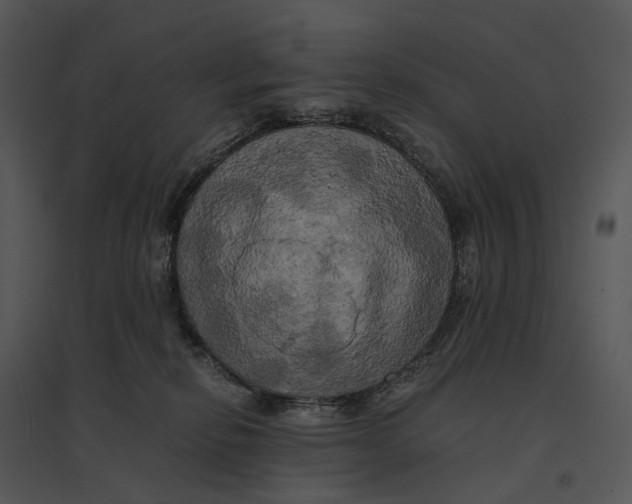 X0000095520278200801041230