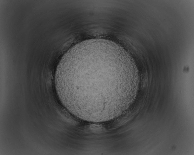 X0000095520279200801041230