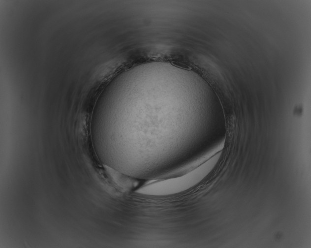 X0000095520280200801041230