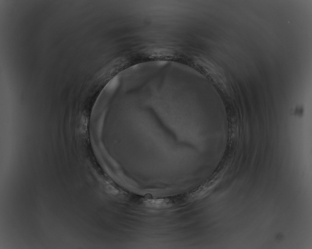 X0000095520281200801041230