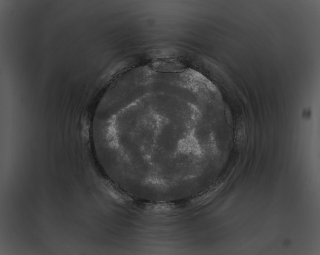 X0000095520282200801041230