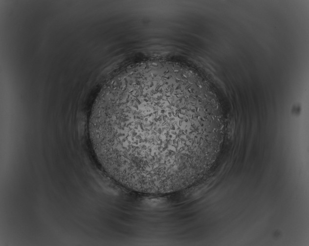 X0000095520283200801041230