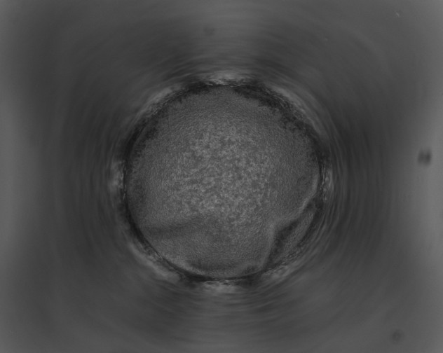 X0000095520284200801041230