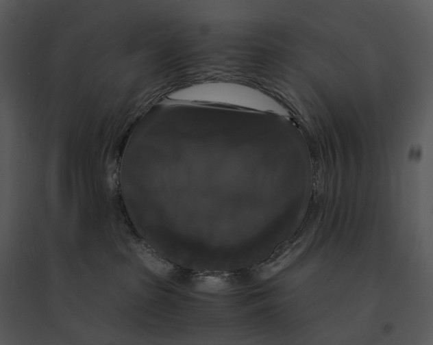 X0000095520285200801041230