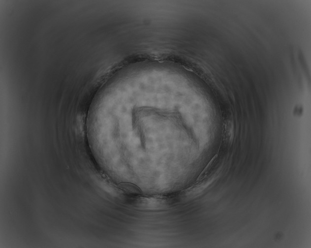 X0000095520286200801041230