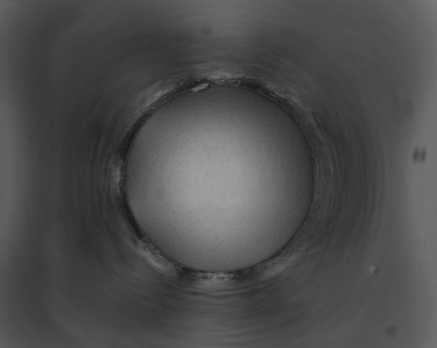 X0000095520288200801041230