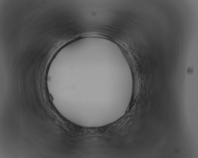 X0000095520289200801041229