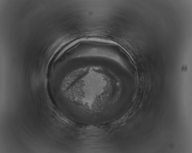 X0000095520290200801041229