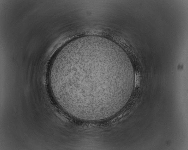 X0000095520291200801041229