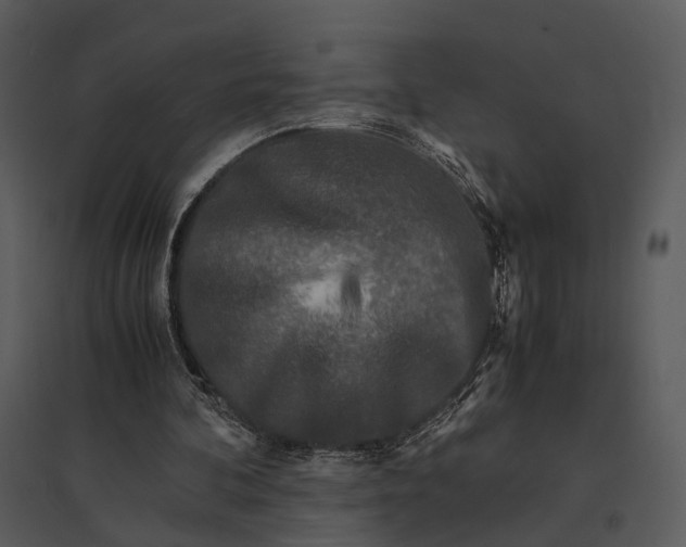 X0000095520292200801041229