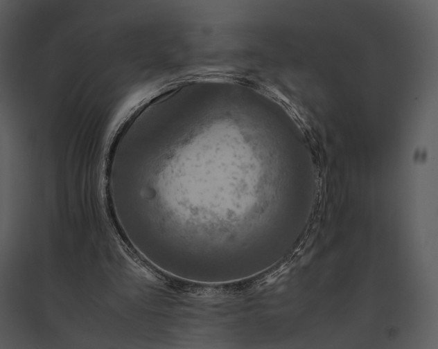 X0000095520293200801041229