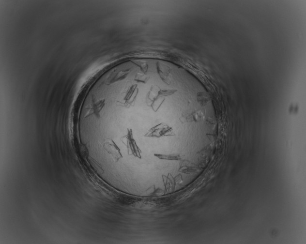 X0000095520294200801041229